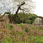 Gutshaus Buberow - Loft - Fuer Seminare & Gruppen Feriehus Gransee