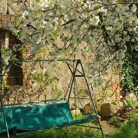 Gutshaus Buberow - Loft - Fuer Seminare & Gruppen Сasa de vacaciones *