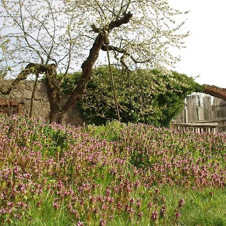 Gutshaus Buberow - Loft - Fuer Seminare & Gruppen Holiday home Gransee