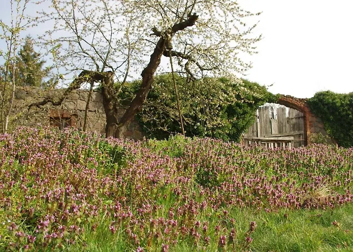 Gutshaus Buberow - Loft - Fuer Seminare & Gruppen Holiday home Gransee